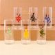 Transparent Shot Glasses for Decoration in Set of 6