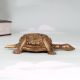 Indian Handmade Brass Turtle Yantra with Lord Ganesha Carving