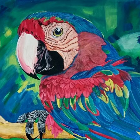 Macaw Bird Canvas Painting by Artist Snehaprava Maharana