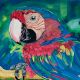 Macaw Bird Canvas Painting by Artist Snehaprava Maharana