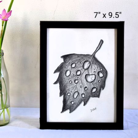 The Droplets on Leaf Realistic Pencil Sketch on Paper by Artist Dimpana | 7 x 9.5 Inches