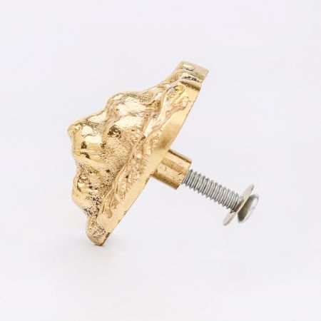 Golden Brass Lion Face Drawer Knob