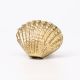 Golden Solid Brass Shell Drawer Knob