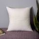 Palm Retreat Pillow Cover
