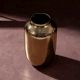Luxe Gold-Plated Iron Vase