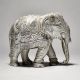 Beautiful Elephant With Maharaja Work