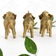 Elegant Brass Elephant for Decor in Set of 3