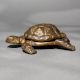 Antique Finish Brass Turtle Box in English Art