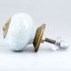 Sage Green Floral Knob