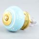 Turquoise Floral Knob