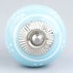 Turquoise Floral Knob