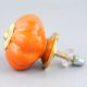 Orange Gold Line Knob