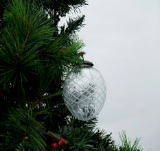 Clear Avocado Box Cut Christmas Hanging