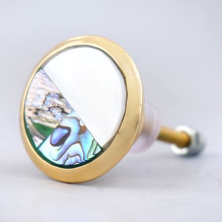 Stephen Brass Shell Cabinet Knob