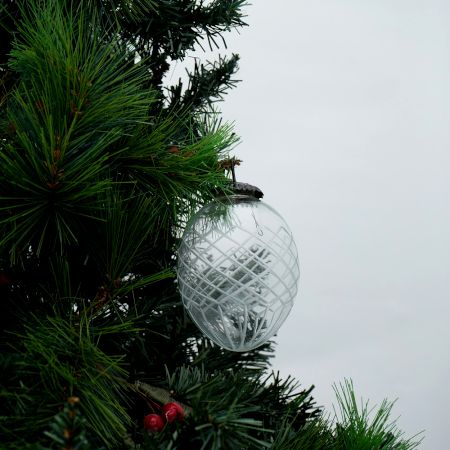Clear Avocado Box Cut Christmas Hanging