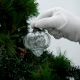 Vintage Clear Onion Shaped Glass Christmas Ornament