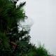 Vintage Clear Onion Shaped Glass Christmas Ornament
