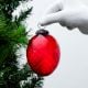 Red Avocado Box Cut Christmas Hanging