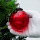 Red Plum Grapes Cut Christmas Hanging