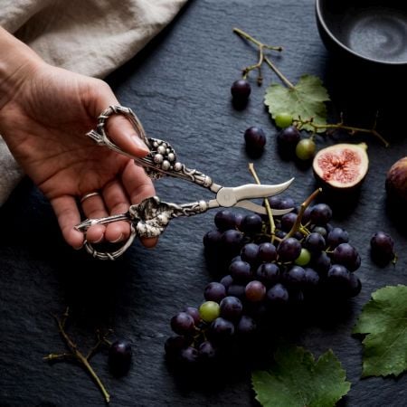 Handcrafted Silver Grape Shears with Stainless Steel Blade