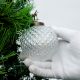 Clear Decorative Globe Glass Hanging Ornament