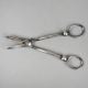 Handcrafted Silver Grape Shears Classic Fruit Scissors