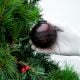 Red Round Glass Christmas Hanging Ornament