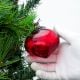 Red Onion Design Glass Christmas Ornament