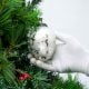Silver Vintage Mercury Glass Christmas Ornament