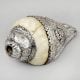 Vintage Silver Wrapped Conch Shell with Floral Engraving