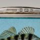 Birmingham Sterling Silver Enamel Perch Fish Vesta Case